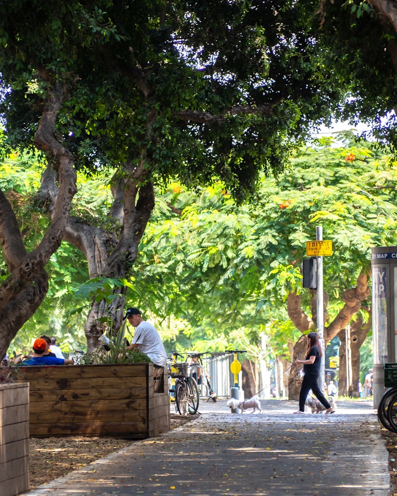 Rothschild, Tel Aviv — the district where we run our cybersecurity, fintech, and AI shoots
